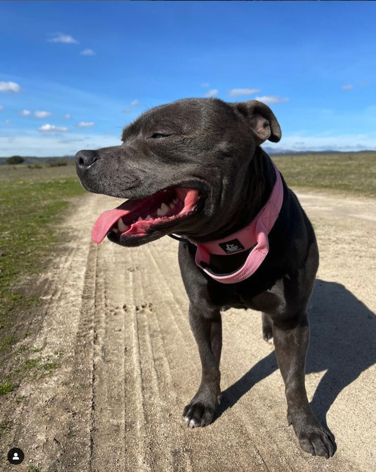 Captura de pantalla 2024-07-01 a las 12.20.33