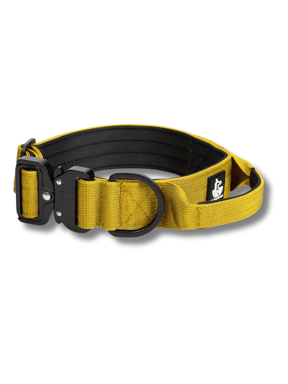 Collar-amarillo Collar-amarillo-para perros WTD