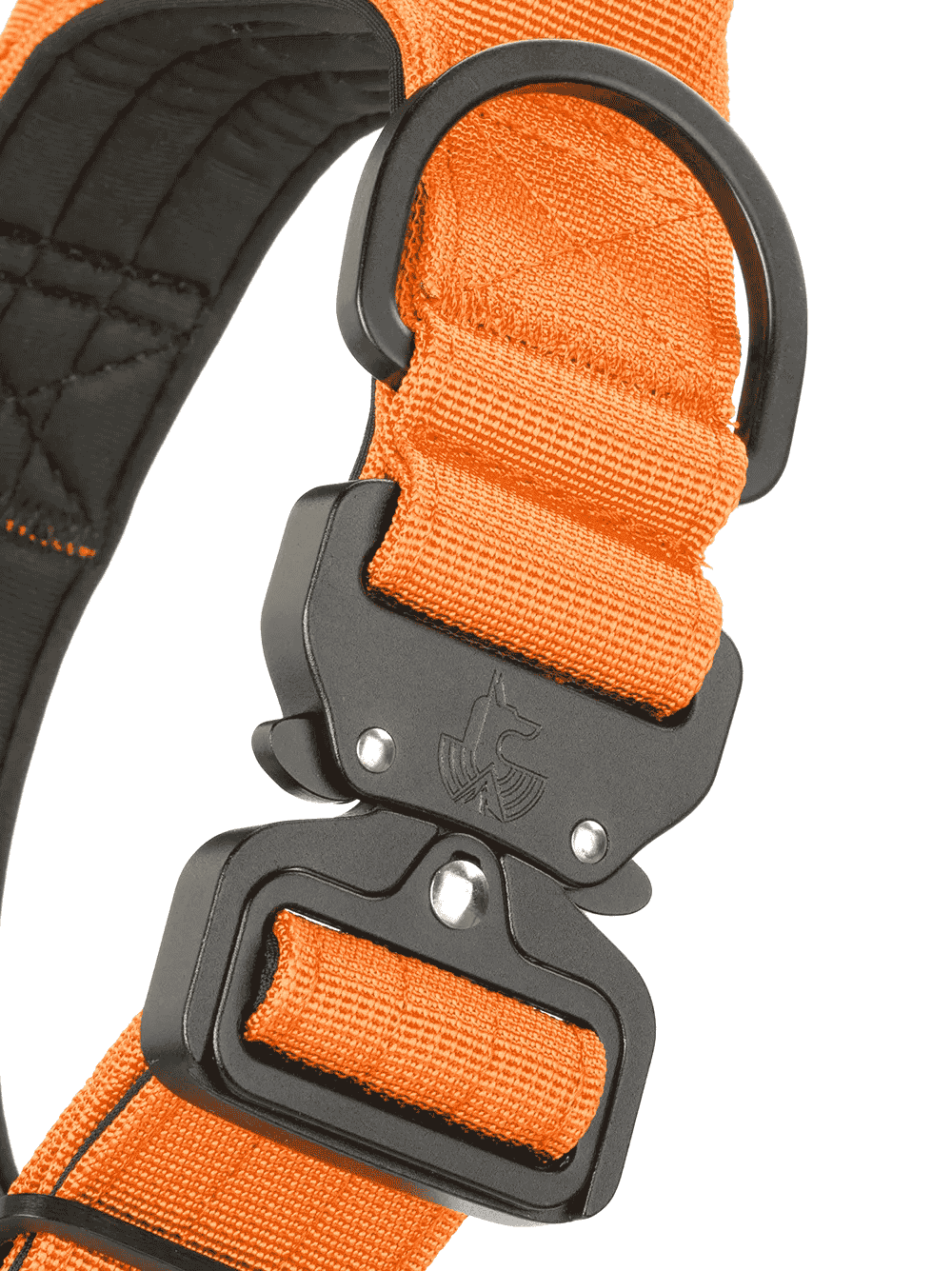 Detalle-collar-naranja Detalle-collar-naranja para perros WTD