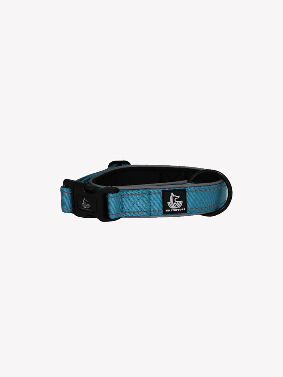 collar-light-blue-wildtopdogs