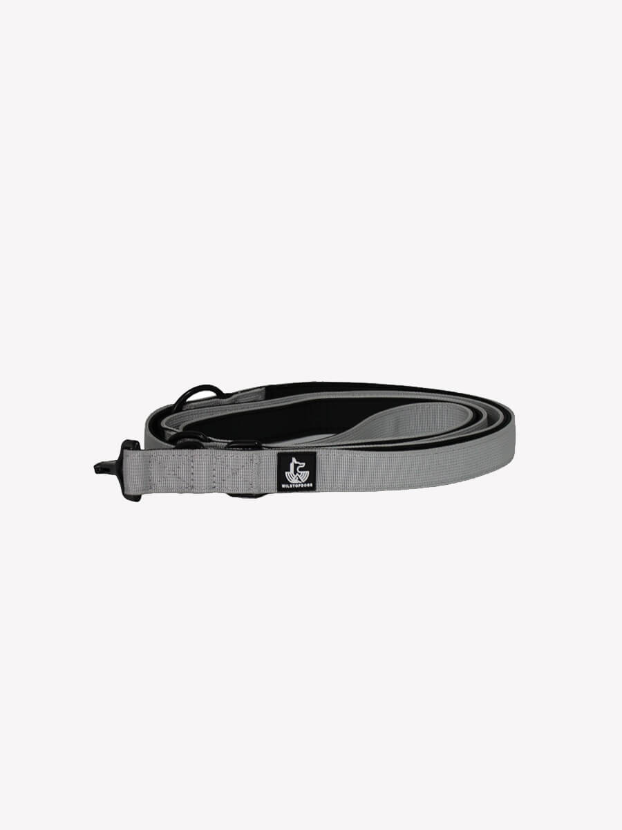 correa-gris-wildtopdogs