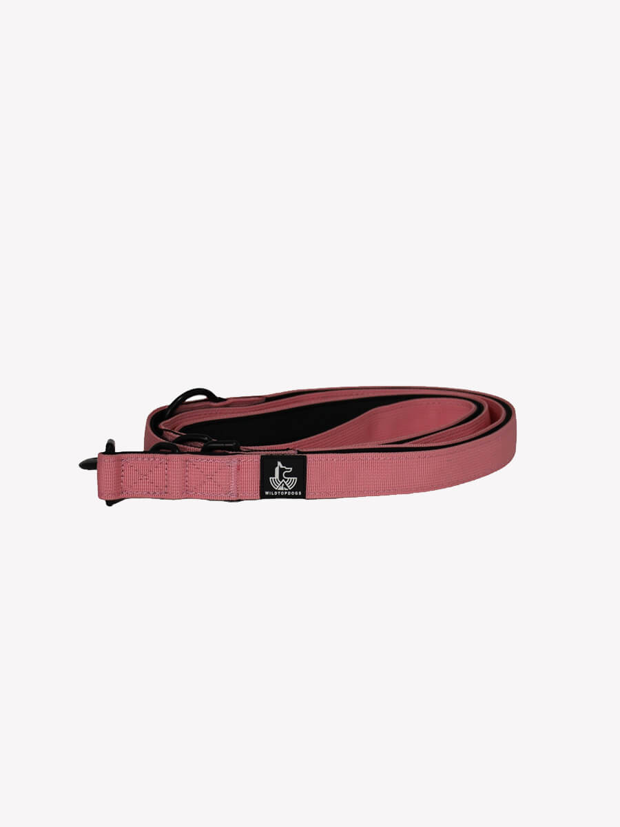 correa-rosa-wildtopdogs