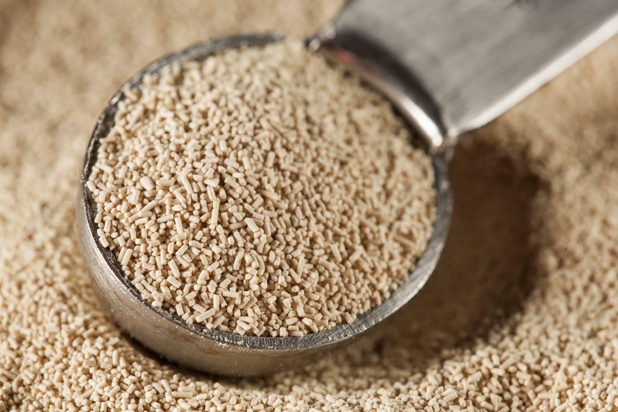 Levadura de cerveza para perros