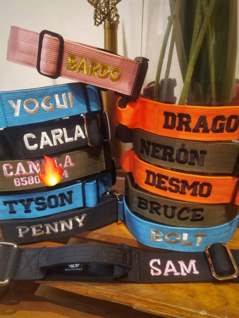 Collar Bordado Perro WILDTOPDOGS