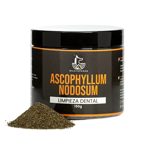 Ascophyllum-nodosum-y-muestra-copia (1)