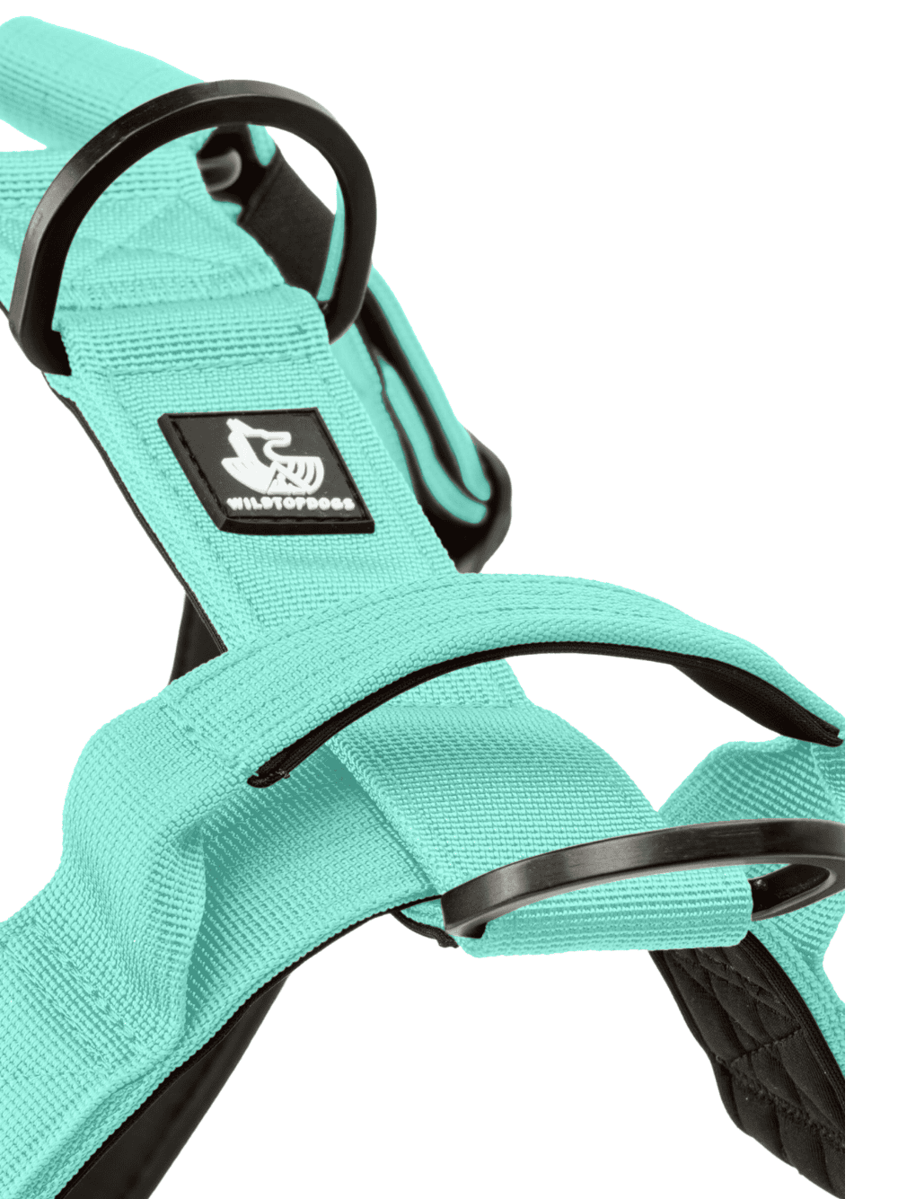 Arnes-Born-Wild-evermint-detalle-3 Arnes-Born-Wild-evermint-detalle-3- para perros wtd