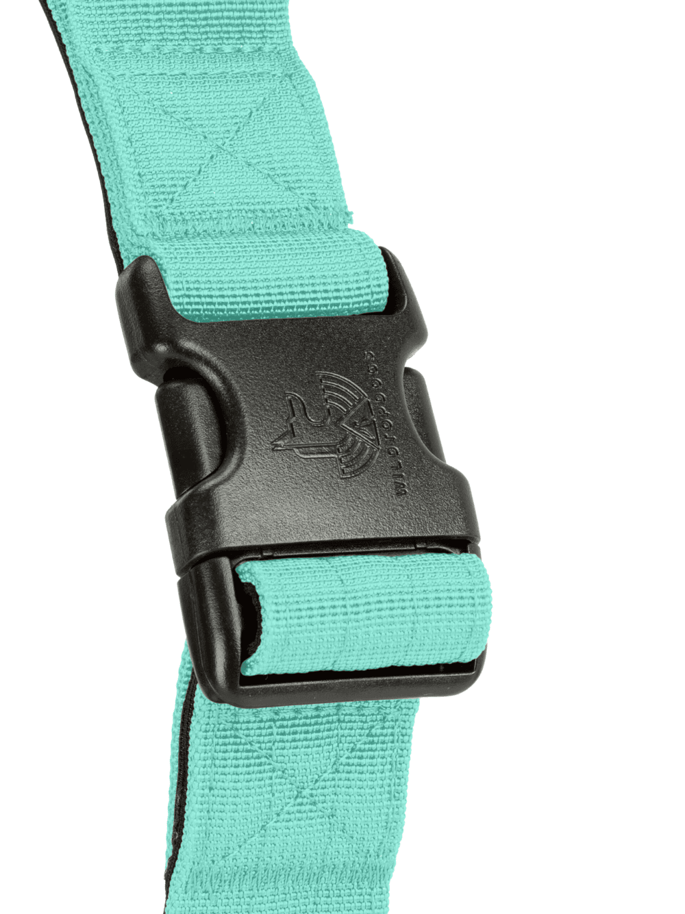 Arnes-Born-Wild-evermint-detalle-2-scaled Arnes-Born-Wild-evermint-detalle-2-para perros wtd