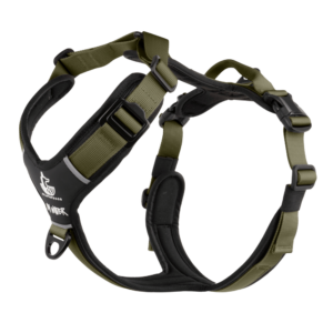 Arnés FreeWild 2.0 Green Forest