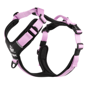 Arnés FreeWild 2.0 Purple Haze