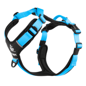 Arnés FreeWild 2.0 Glacier Blue