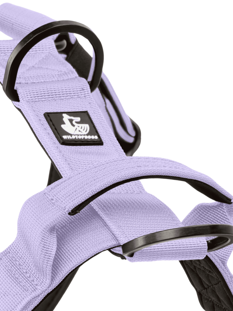 Arnes Mystic Lilac para perros wtd