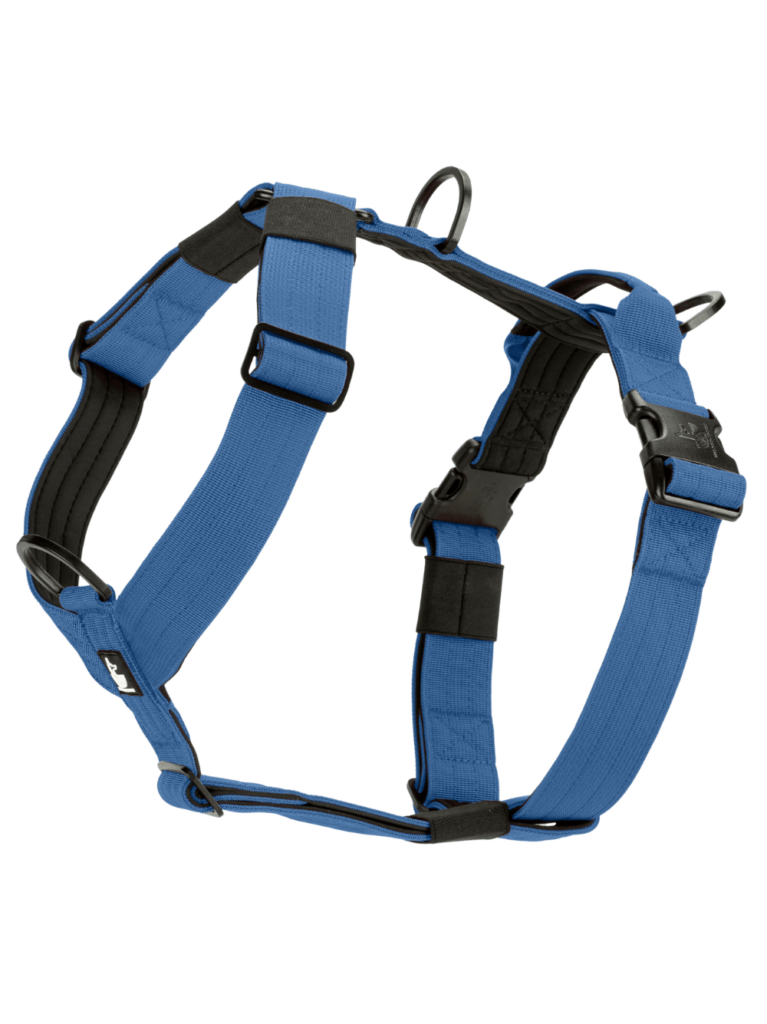 Blue Denim wtd para perros