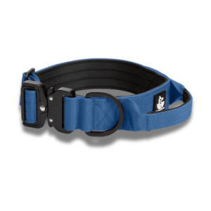 Blue Denim wtd para perros