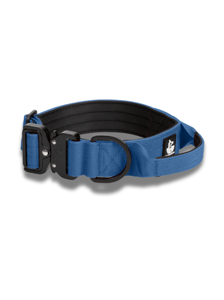 Blue Denim wtd para perros