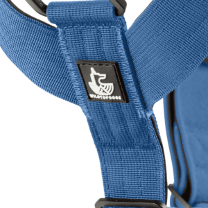 Blue Denim wtd para perros