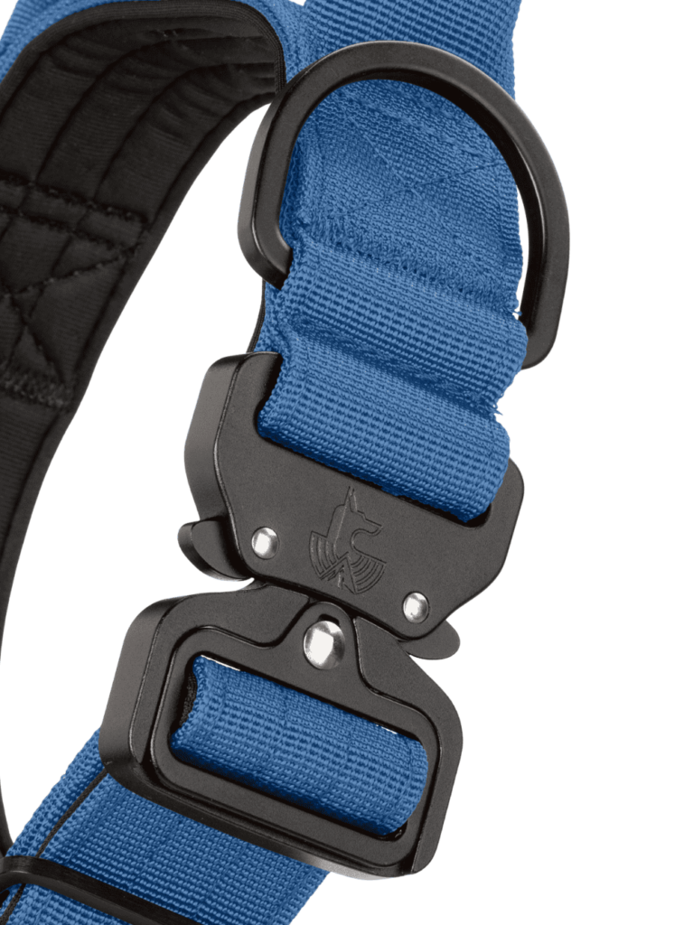 Blue Denim wtd para perros