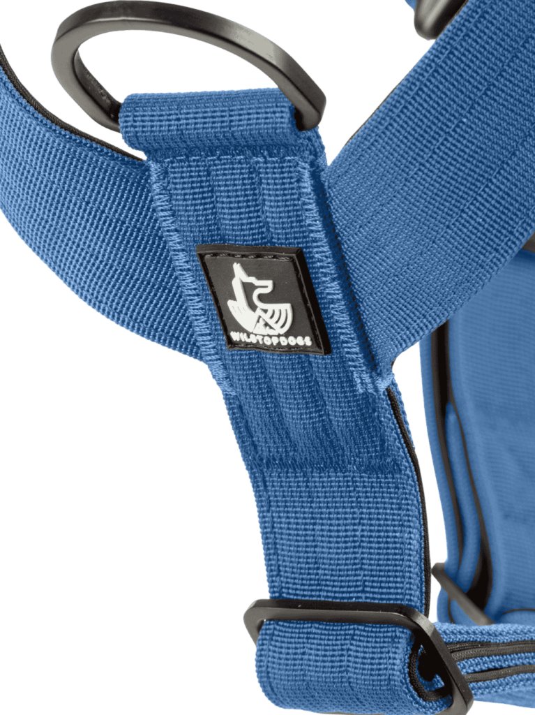 Blue Denim wtd para perros